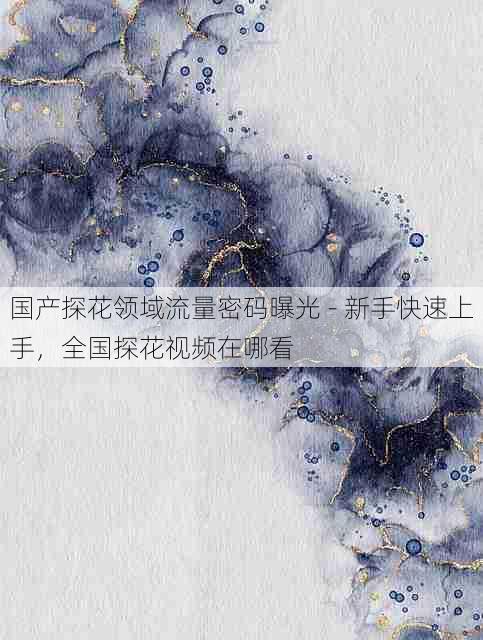 国产探花领域流量密码曝光 - 新手快速上手,全国探花视频在哪看