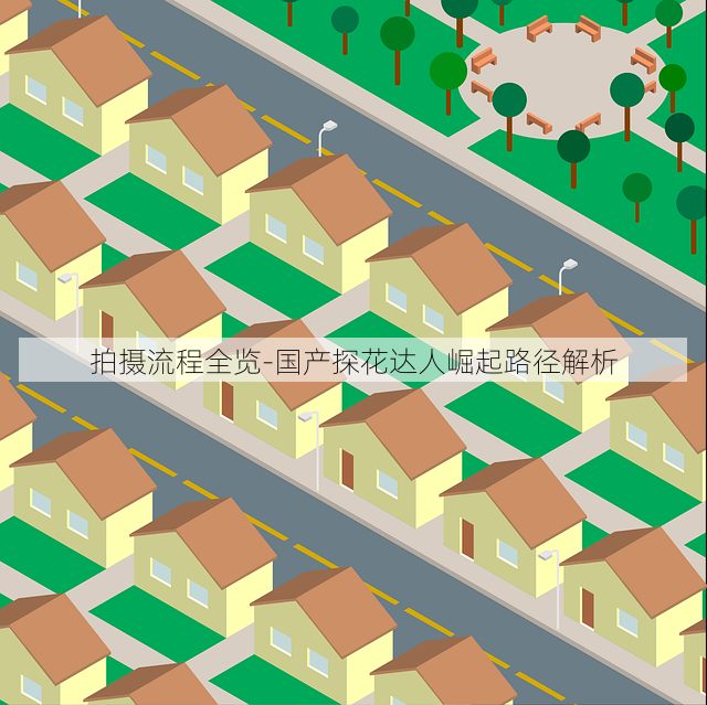 拍摄流程全览-国产探花达人崛起路径解析