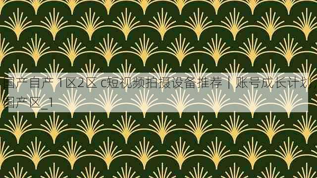 国产自产 1区2区 c短视频拍摄设备推荐|账号成长计划,国产区_1