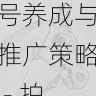 国产自产 1区2区 c账号养成与推广策略 - 拍摄实操分享,国产区_1