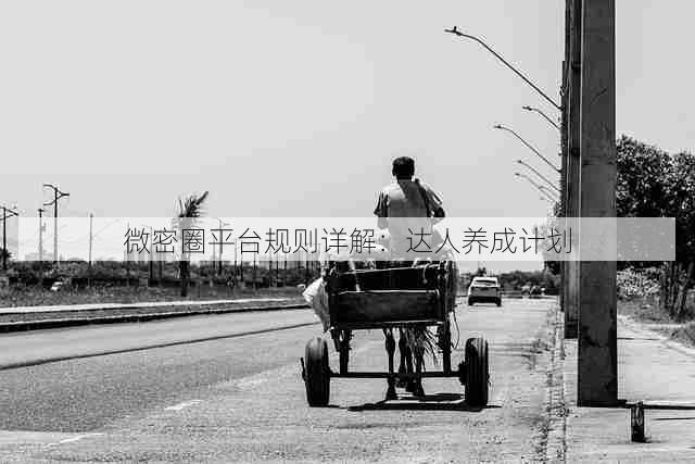 微密圈平台规则详解:达人养成计划
