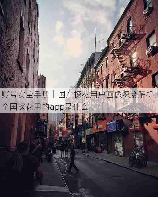 账号安全手册|国产探花用户画像深度解析,全国探花用的app是什么