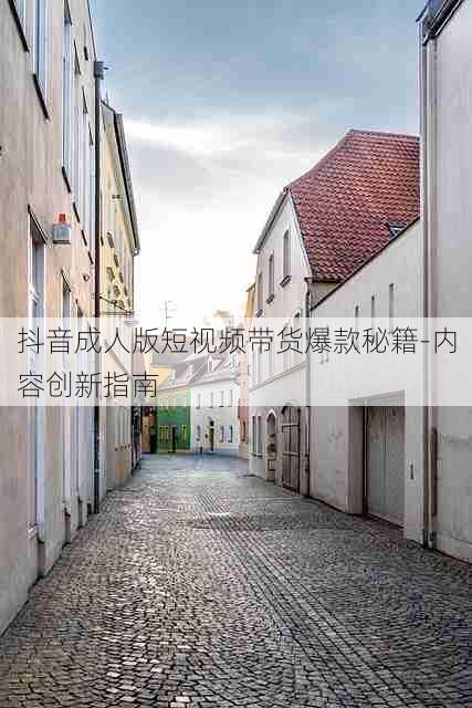 抖音成人版短视频带货爆款秘籍-内容创新指南
