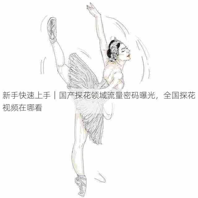 新手快速上手|国产探花领域流量密码曝光,全国探花视频在哪看