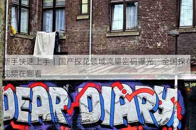 新手快速上手|国产探花领域流量密码曝光,全国探花视频在哪看