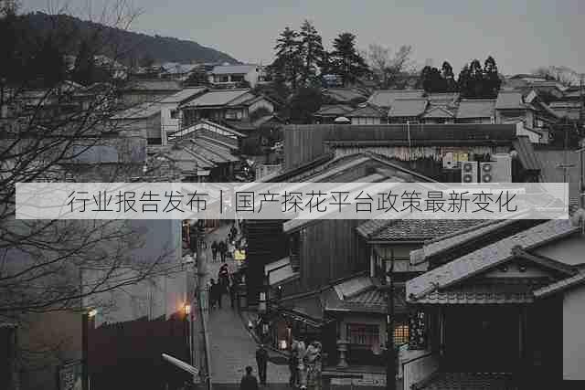 行业报告发布|国产探花平台政策最新变化