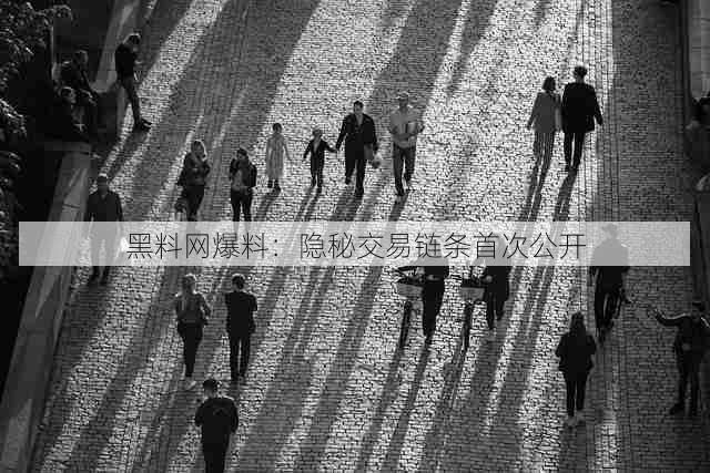 黑料网爆料:隐秘交易链条首次公开