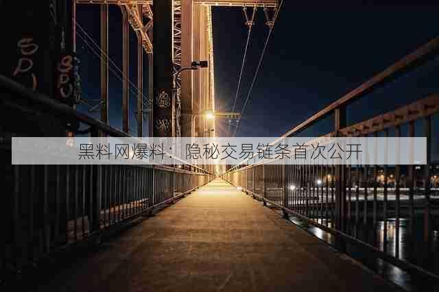 黑料网爆料:隐秘交易链条首次公开
