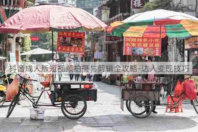 抖音成人版短视频拍摄与剪辑全攻略-达人变现技巧