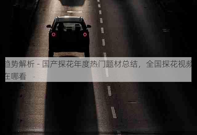 趋势解析 - 国产探花年度热门题材总结,全国探花视频在哪看