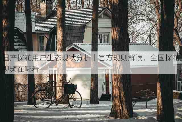 国产探花用户生态现状分析|官方规则解读,全国探花视频在哪看