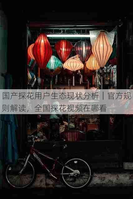 国产探花用户生态现状分析|官方规则解读,全国探花视频在哪看