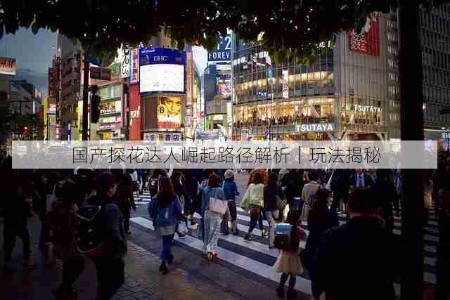 国产探花达人崛起路径解析｜玩法揭秘