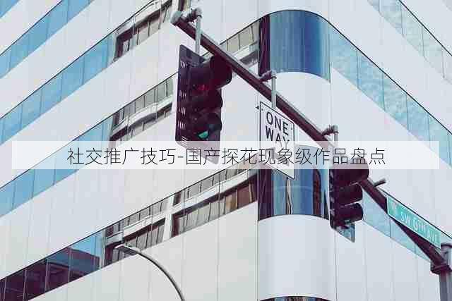 社交推广技巧-国产探花现象级作品盘点
