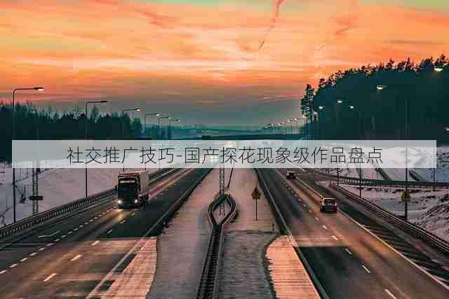 社交推广技巧-国产探花现象级作品盘点