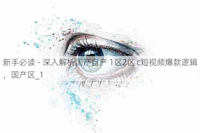 新手必读 - 深入解析国产自产 1区2区 c短视频爆款逻辑,国产区_1