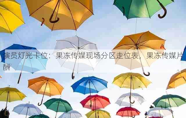 演员灯光卡位:果冻传媒现场分区走位表,果冻传媒片酬