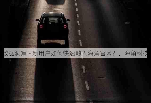 数据洞察 - 新用户如何快速融入海角官网?,海角科技