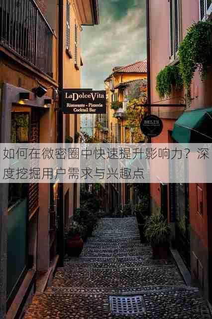 如何在微密圈中快速提升影响力?深度挖掘用户需求与兴趣点
