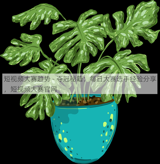 短视频大赛趋势 - 夺冠秘籍:每日大赛选手经验分享,短视频大赛官网